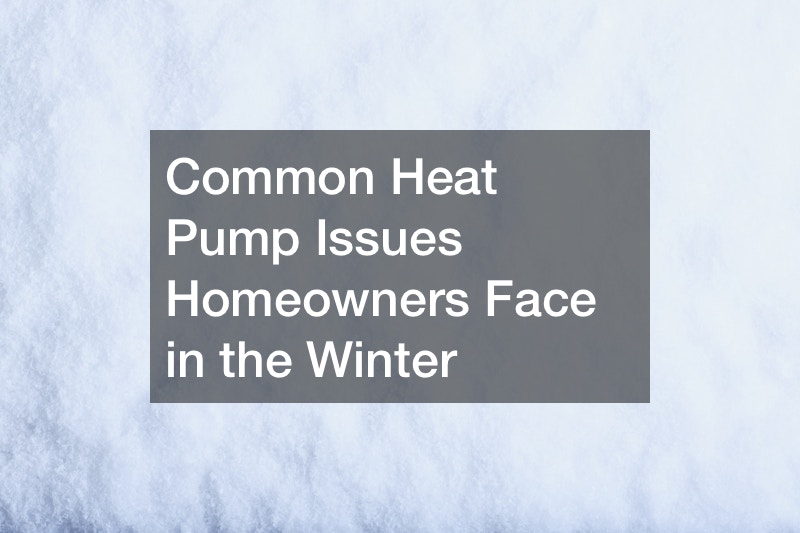 Common Heat Pump Issues Homeowners Face in the Winter