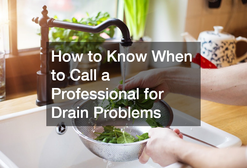 How to Know When to Call a Professional for Drain Problems